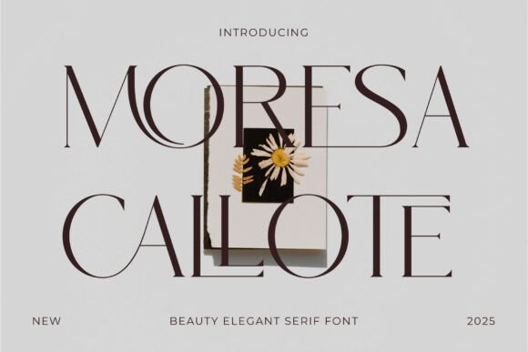 Moresa Callote: A Serif for Distinctive Branding